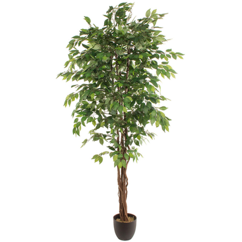 Mākslīgais augs FICUS 2.20m